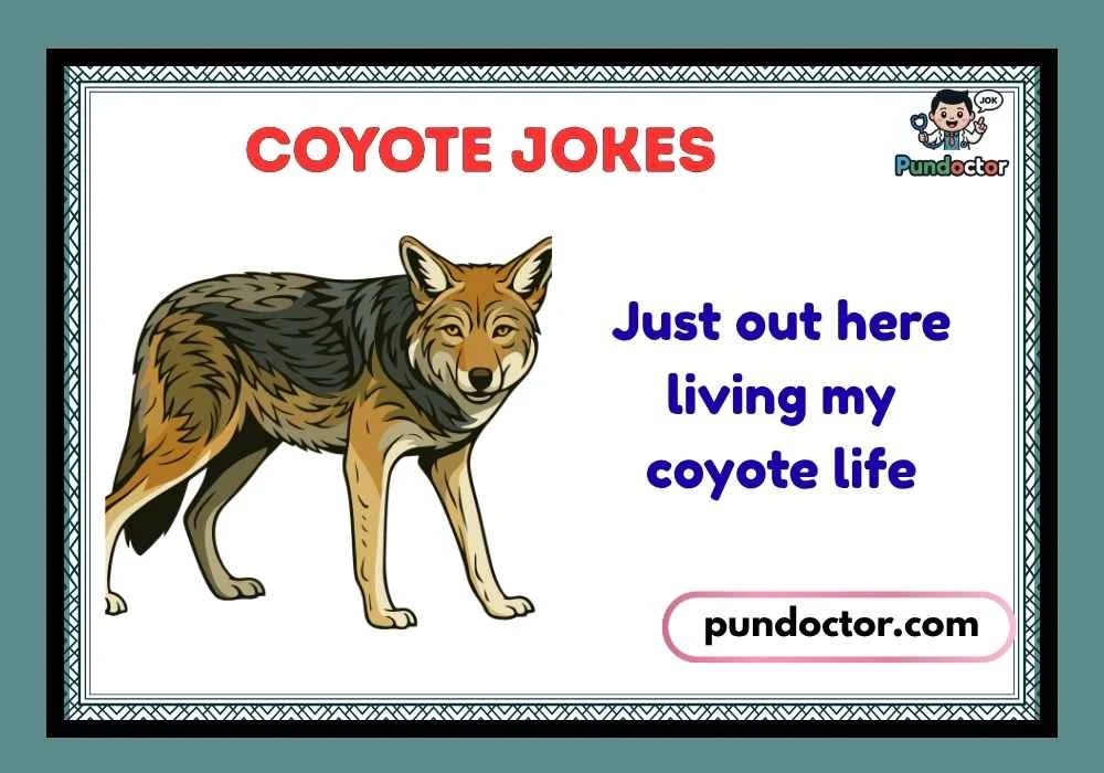 Coyote Jokes