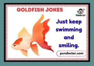 Goldfish Jokes