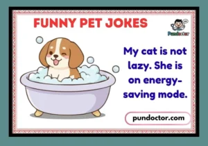 Funny Pet Jokes
