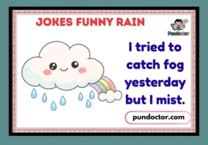 Jokes Funny Rain