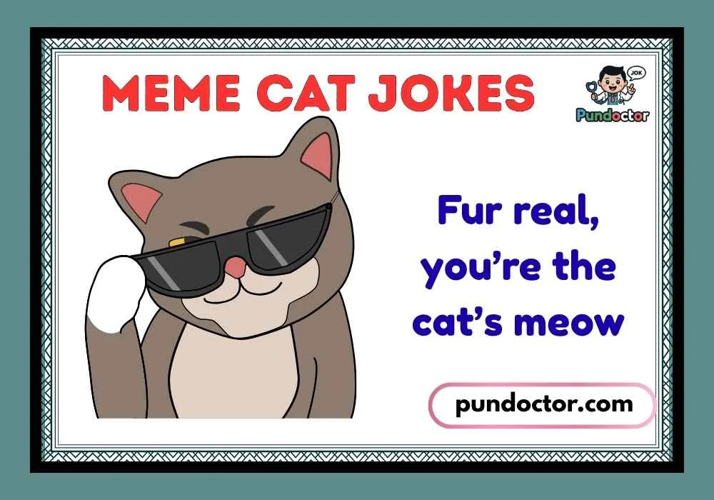 Meme Cat Jokes