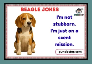 Beagle Jokes