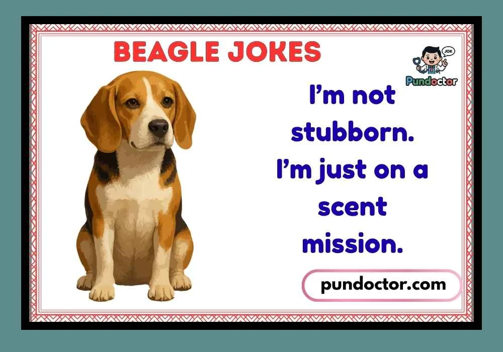 Beagle Jokes