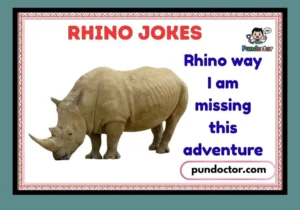 Rhino Jokes