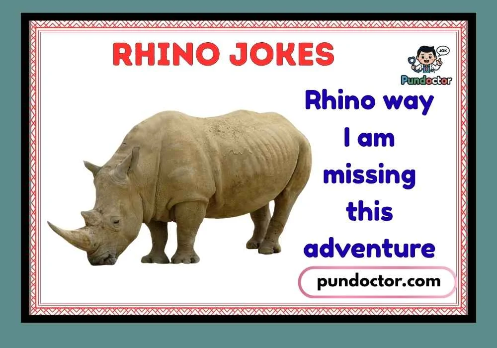 Rhino Jokes