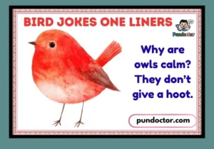Bird Jokes One Liners