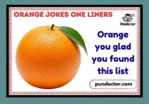 Orange Jokes One Liners