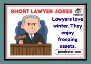 Short Lawyer Jokes