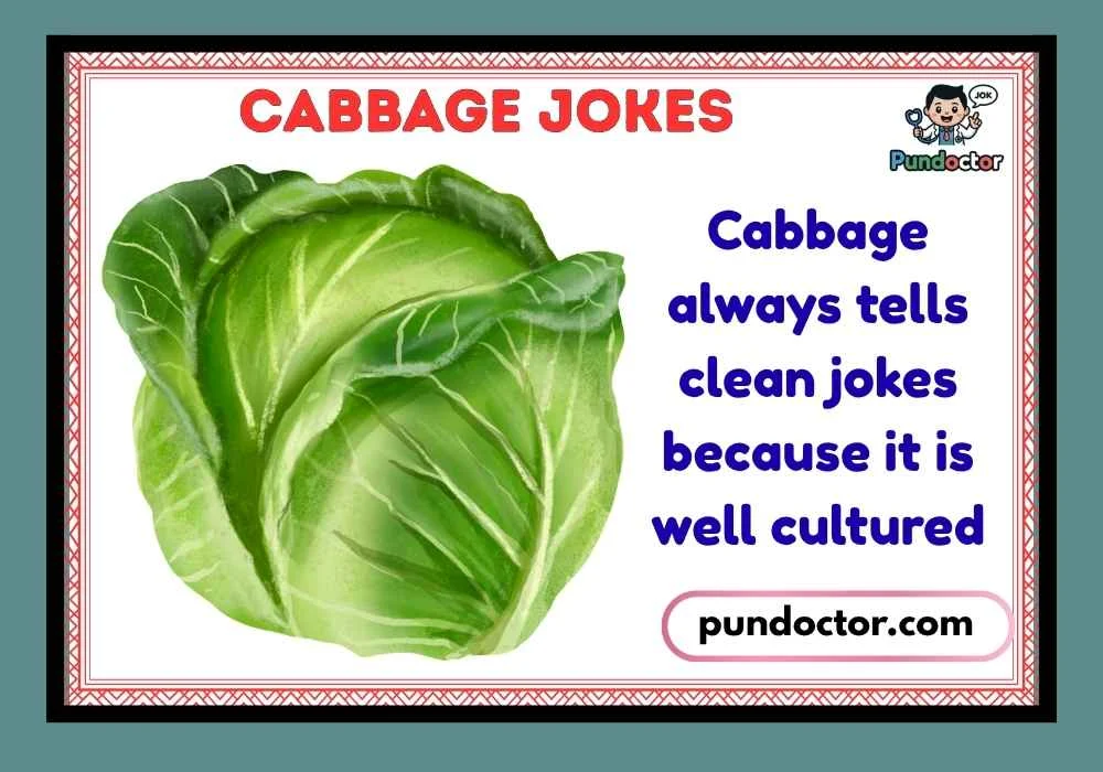 Cabbage Jokes