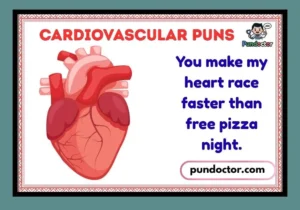 Cardiovascular Puns