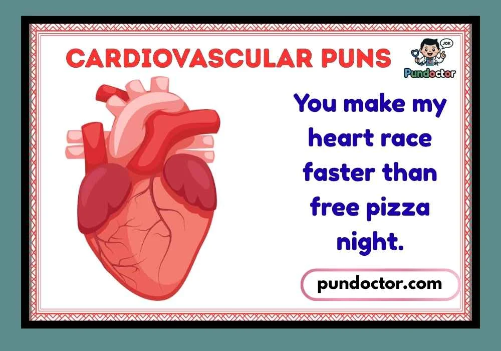 Cardiovascular Puns