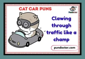 Cat Car Puns