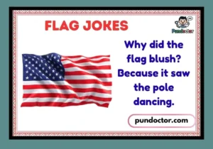 Flag Jokes