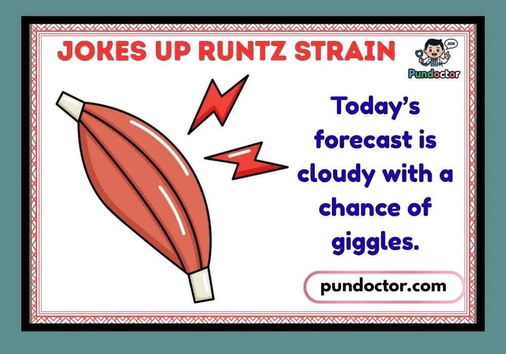 Jokes Up Runtz Strain