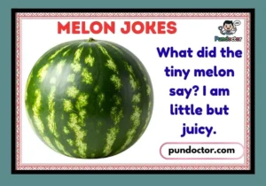 Melon Jokes