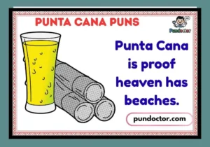 Punta Cana Puns