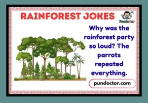 Rainforest Jokes