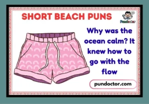 Short Beach Puns