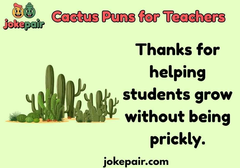 Cactus Puns for Teachers
