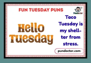 Fun Tuesday Puns