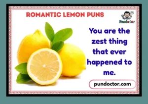 Romantic Lemon Puns
