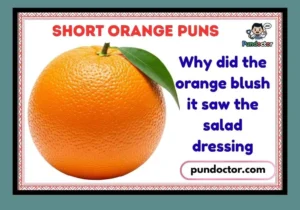 Short Orange Puns