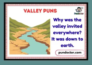 Valley Puns